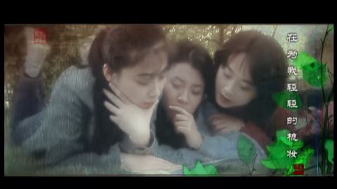 香樟树