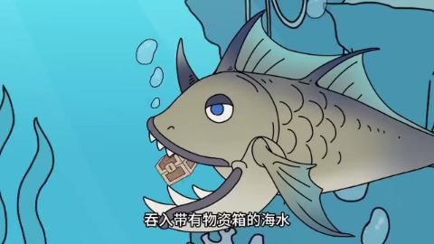 冰冰巨鱼第二季-动漫