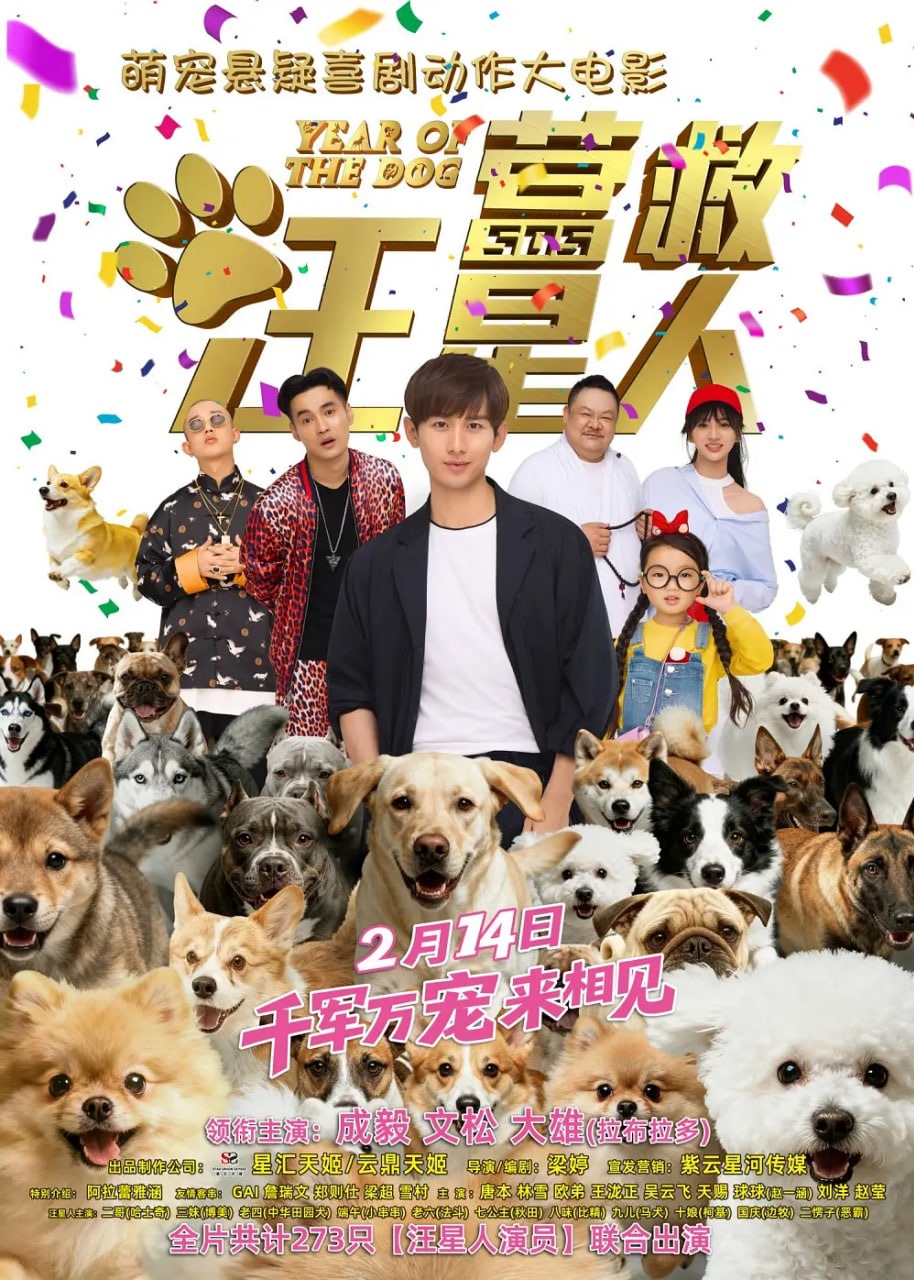 营救汪星人
