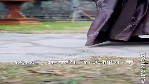 天降锦鲤崽带我登巅峰-动漫合集