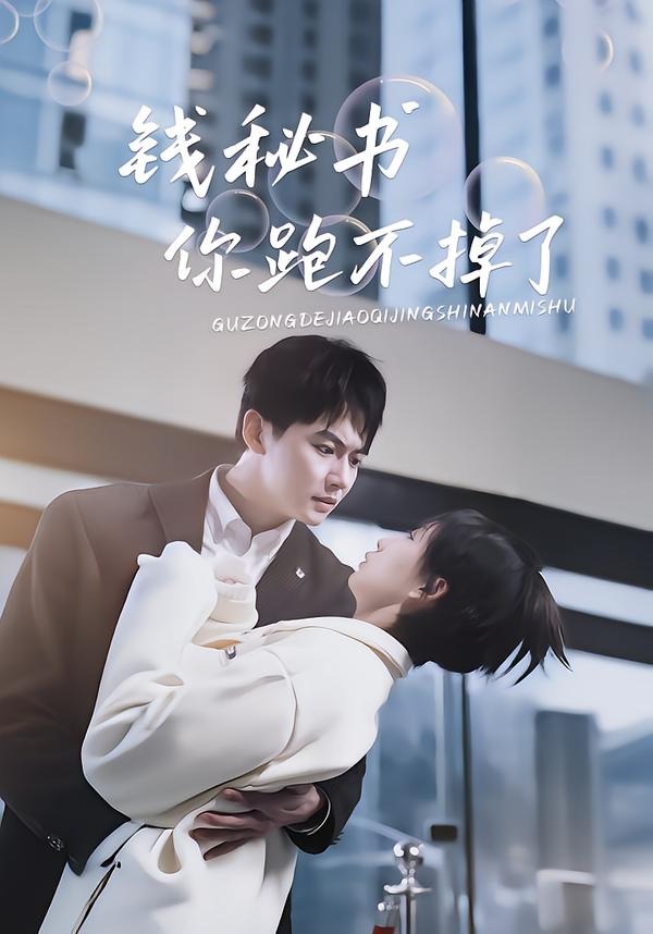 钱秘书你跑不掉了-都市言情