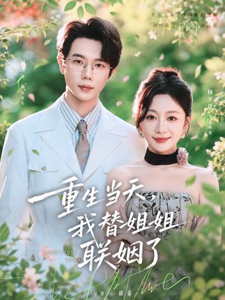 重生当天我替姐姐联姻了-都市重生